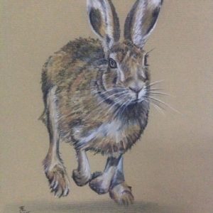 Tinted Charcoal Drawings
