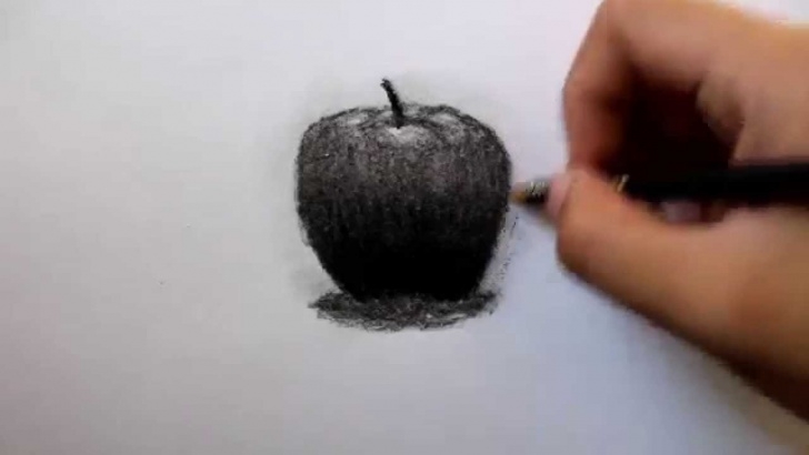 Inspiration Charcoal Art For Beginners Step by Step How To Draw An Apple Using Charcoal Pencil (Beginner) Pic
