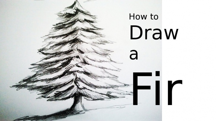 Inspiration Christmas Pencil Drawings Easy Simple How To Draw A Tree (A Fir) With Pencil | Drawing Easy And Fast For Pictures