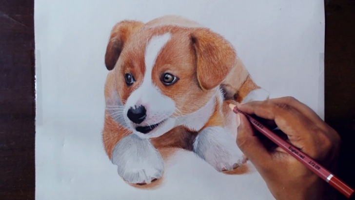 Inspiration Colored Pencil Animals Simple Drawing Animals 2 - Drawing A Puppy - Colored Pencils Pic