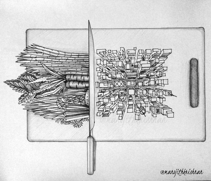 Inspiration Deforestation Pencil Drawing Simple Deforestation Pencil Drawings Images