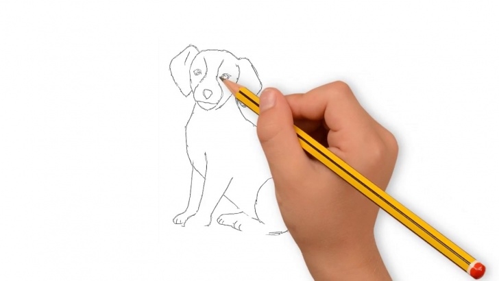 Inspiration Dog Drawings In Pencil Step By Step Courses Dog Drawing With Pencil | Dog Drawing Easy | How To Draw Dog For Kids Easy Photos