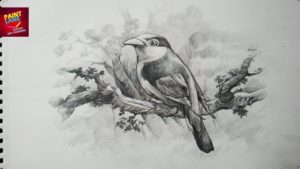 Inspiration Drawing Pencil Shading Techniques How To Draw A Bird With Pencil | Drawing | Shading Images