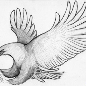 Eagle Pencil Art