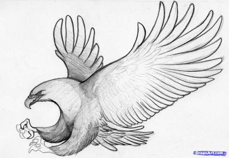 Inspiration Eagle Pencil Art Simple Easy Pencil Sketches | How To Sketch An Eagle In Pencil, Draw An Pic