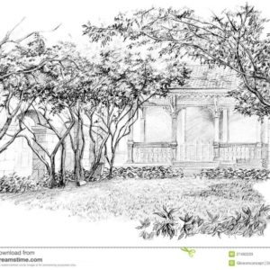 Garden Pencil Drawing