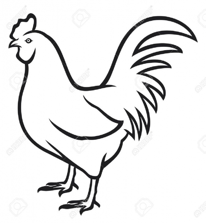 Inspiration Hen Pencil Drawing Techniques Hen Drawing Images At Paintingvalley | Explore Collection Of Hen Pic
