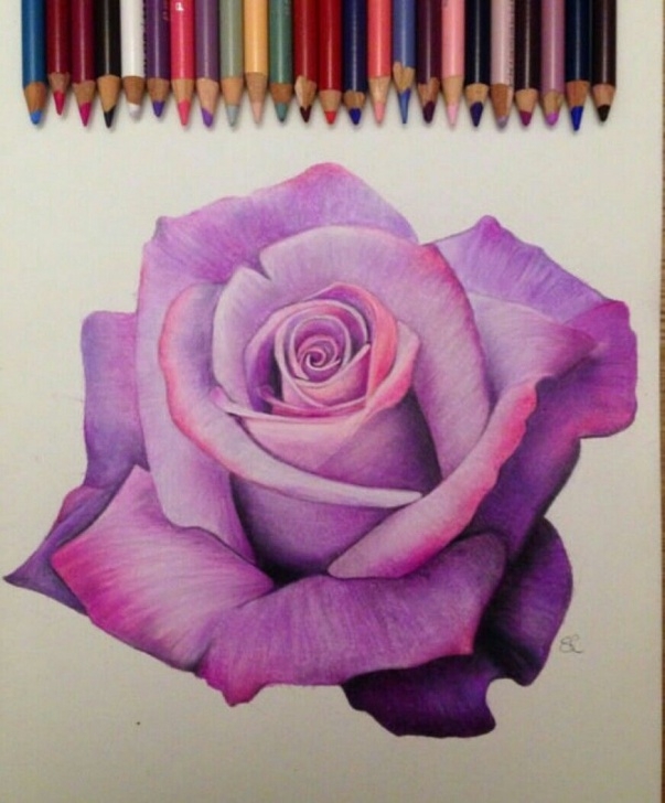 Inspiration Rose Color Pencil Drawing Courses Another Great Rose | Adult Coloring Pages In 2019 | Pencil Art Photos