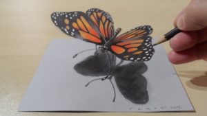 Inspiring 3D Butterfly Drawings In Pencil Ideas 3D Drawing Butterfly - How To Draw 3D Butterfly - Magical Art On Images
