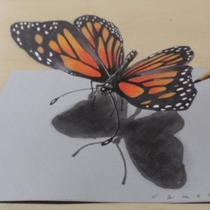 3D Butterfly Drawings In Pencil