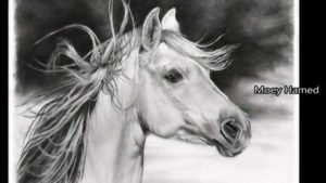 Inspiring Amazing Pencil Sketches Courses Amazing Pencil Sketches Photos