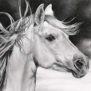 Amazing Pencil Sketches