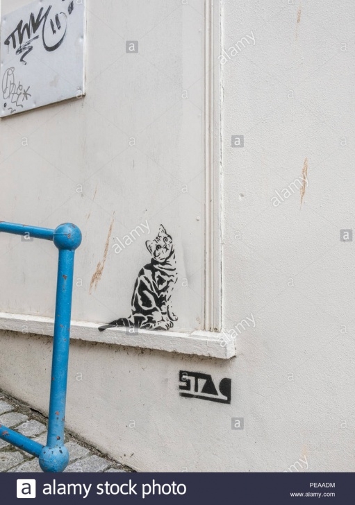 Inspiring Cat Graffiti Stencil Courses Cat Stencil Stock Photos & Cat Stencil Stock Images - Alamy Photo
