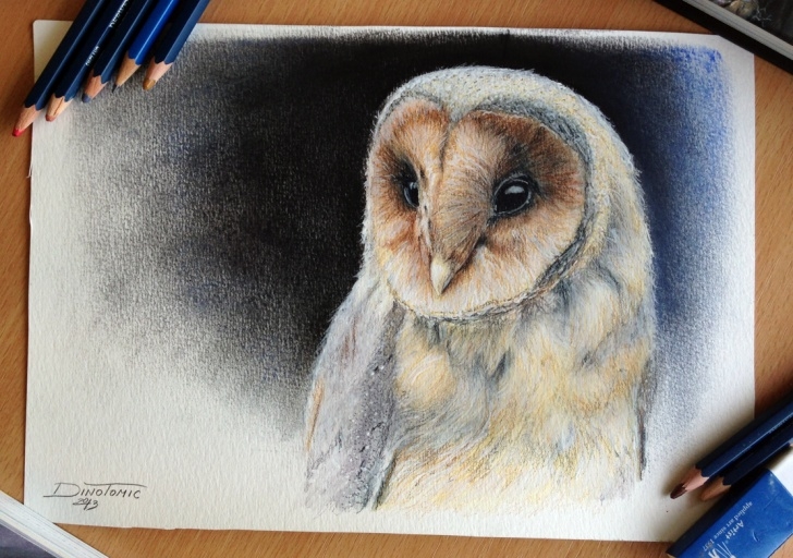Inspiring Colored Pencil Animals Easy Pencil Drawings: Colored Pencil Drawings Of Animals Pictures