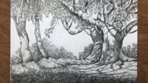 Inspiring Forest Pencil Drawing Free Landscape Drawing In Pencil | Forest Drawing | Pencil Sketch Picture