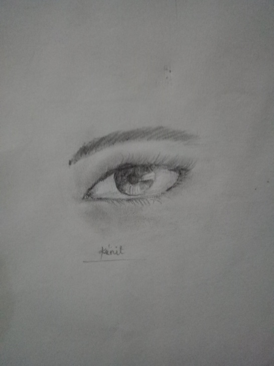 Inspiring Normal Pencil Sketch Tutorials How To Draw A Realistic Eye Using A Normal Pencil — Steemit Photo