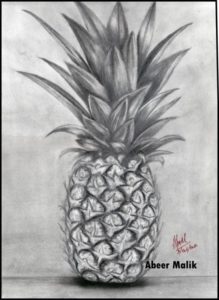 Inspiring Pineapple Pencil Drawing for Beginners Pineapple Pencil Sketch - Sketching By Abeer's Art Work In Sketching Photo