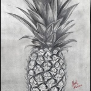 Pineapple Pencil Drawing