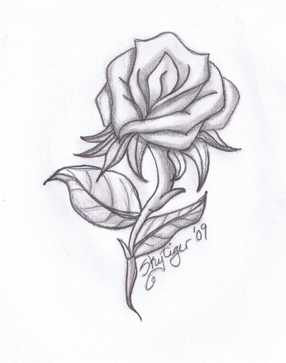 Inspiring Rose Pencil Drawing Techniques for Beginners Cool Pics To Draw | Rose Pencil Drawing By Skytiger Traditional Art Picture