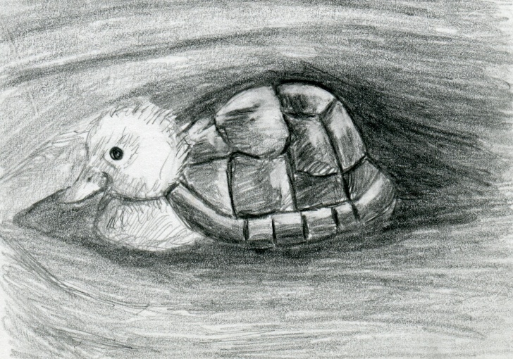 Interesting Black And White Pencil Drawings Tutorials Turtle Duck Pencil Drawing Black And White Print - Hybrid Animals Series Photo