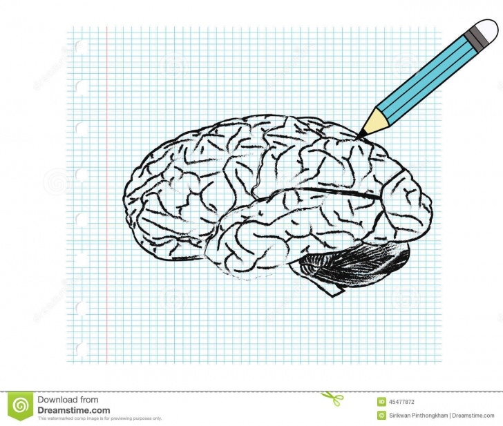 Interesting Brain Pencil Drawing Lessons Brain Stock Vector. Illustration Of Frame, Concept, Line - 45477872 Images