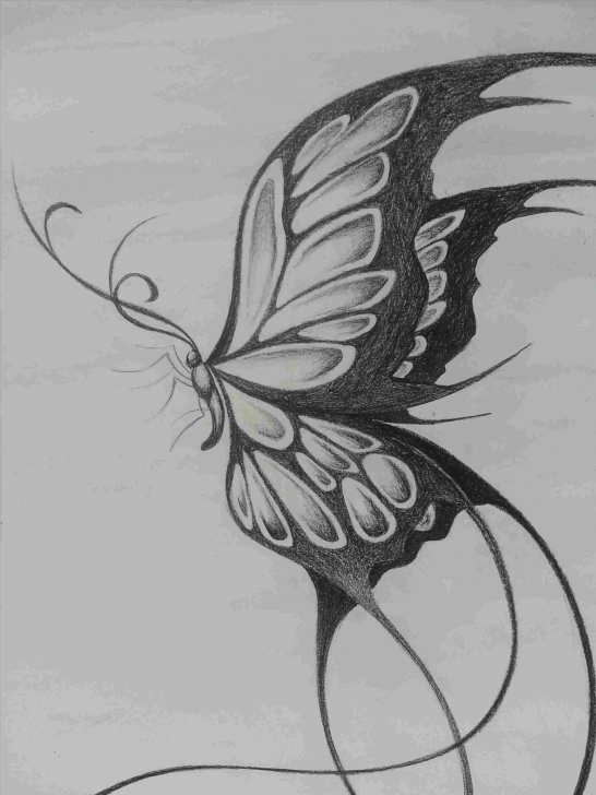 Interesting Butterfly Drawings In Pencil Free Butterfly Pencil Drawing Easy Pic