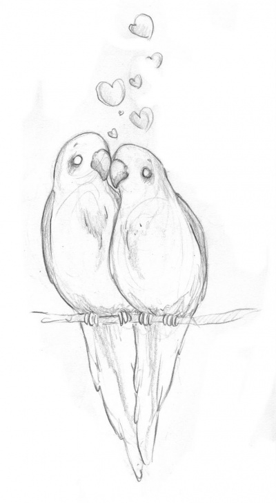 Interesting Love Birds Sketch Courses Love Birds! | Cool Art! In 2019 | Beautiful Pencil Drawings, Easy Photo