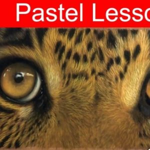 Pastel Pencil Artists