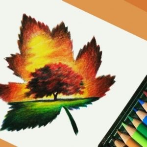Pencil Drawing With Colour