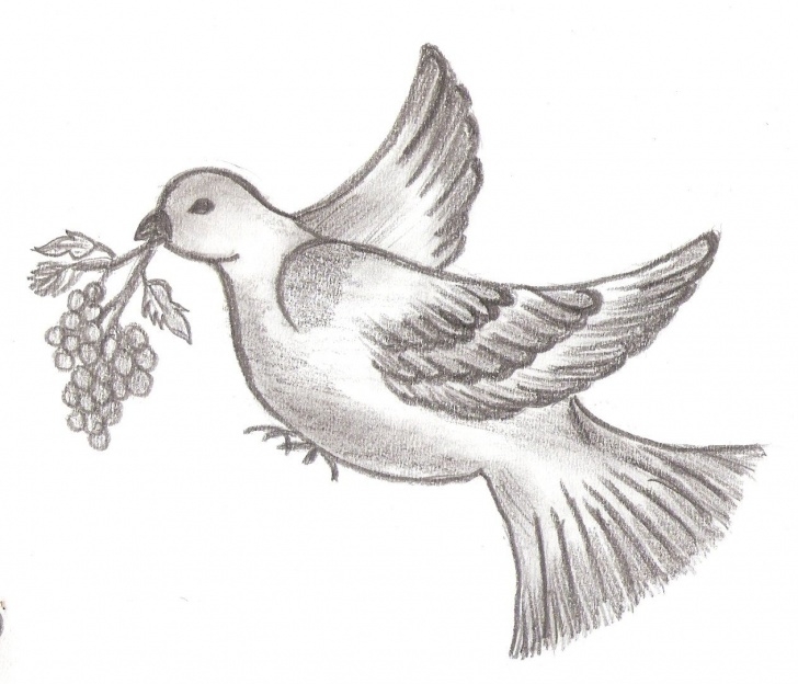 Interesting Pencil Drawings Of Birds And Animals Lessons Priyanka Sketches - Nature | Art Ideas In 2019 | Bird Drawings Pics