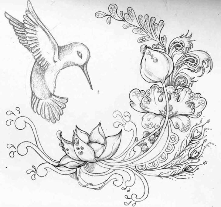 Learn Beautiful Pencil Drawings Of Flowers Techniques for Beginners Pencil Sketch Images Flowers At Paintingvalley | Explore Pic