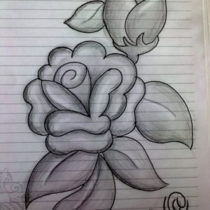 Easy Flower Drawings In Pencil