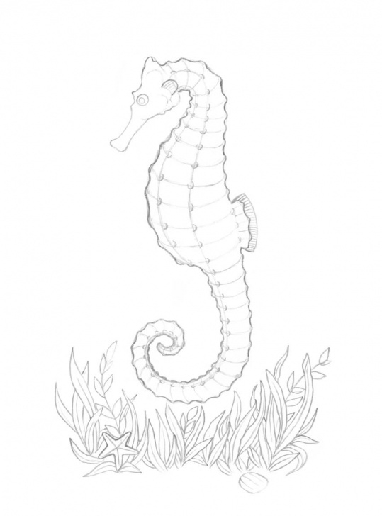 Learn Seahorse Pencil Drawing Simple How To Draw A Seahorse With Black And Grey Ink Liners Image