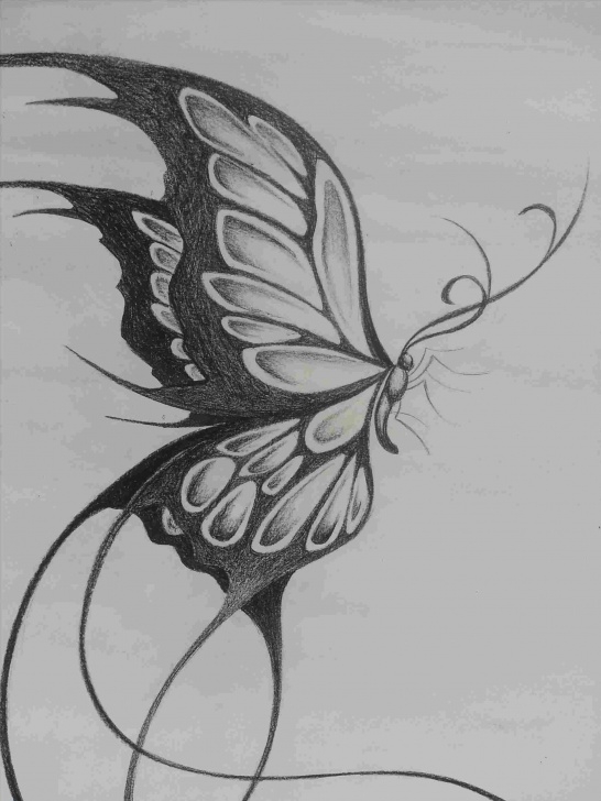Learning Beautiful Pencil Drawings Of Flowers Techniques Beautiful Pencil Sketches Of Roses Pic