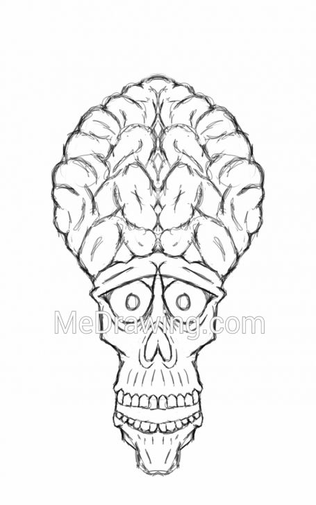 Learning Brain Pencil Drawing Tutorial Skull With Giant Brain Pencil Sketch Images