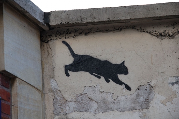 Learning Cat Graffiti Stencil Techniques Stencil Cat By Nemo | Photo Page - Everystockphoto Photo