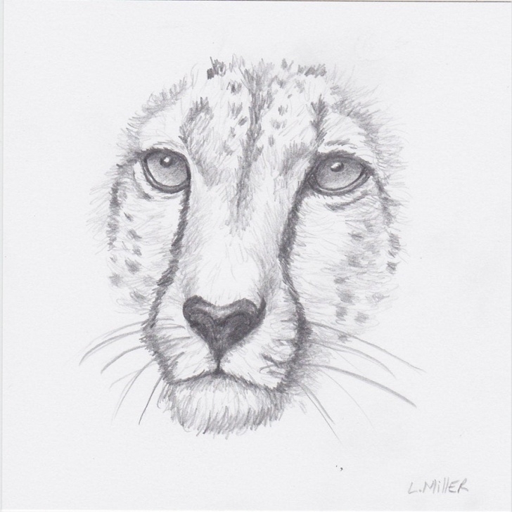 Learning Cheetah Pencil Drawing Tutorial Cheetah Pencil Drawing, Original 5X5 Graphite Large Cat Art Picture
