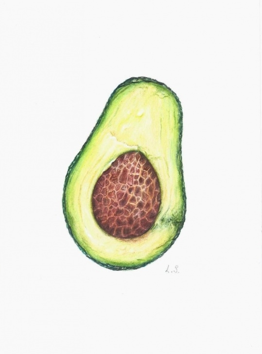 Learning Drawing Fruit With Colored Pencils Courses Avocado Colored Pencils Drawing Original Painting Fruit Art Kitchen Wall  Decor Food Illustration Artwork Photos