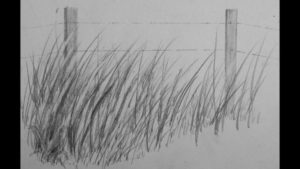 Learning Drawing Grass With Pencil for Beginners How To Draw Realistic Tall Grass Pics