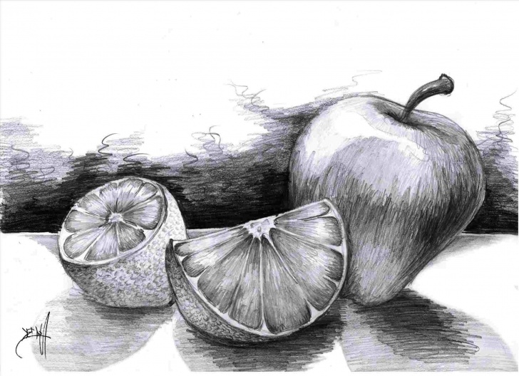 Learning Fruits Pencil Shading Simple Still Life Drawings In Pencil | Drawing Work Image