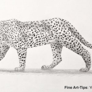 Leopard Pencil Drawing
