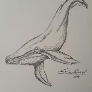 Whale Pencil Drawing