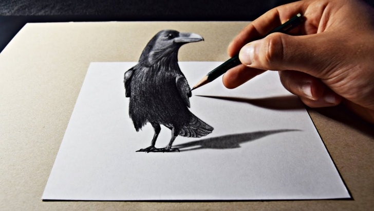 Marvelous 3D Pencil Drawing Step by Step 3D Pencil Art Raven Drawing Photo