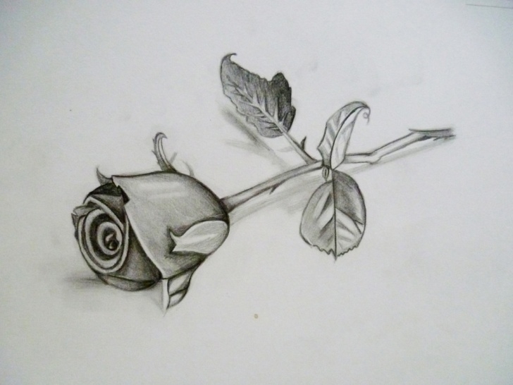 Marvelous 3D Rose Pensil Sketch Step By Step Ideas 3D Flower Drawing At Paintingvalley | Explore Collection Of 3D Picture
