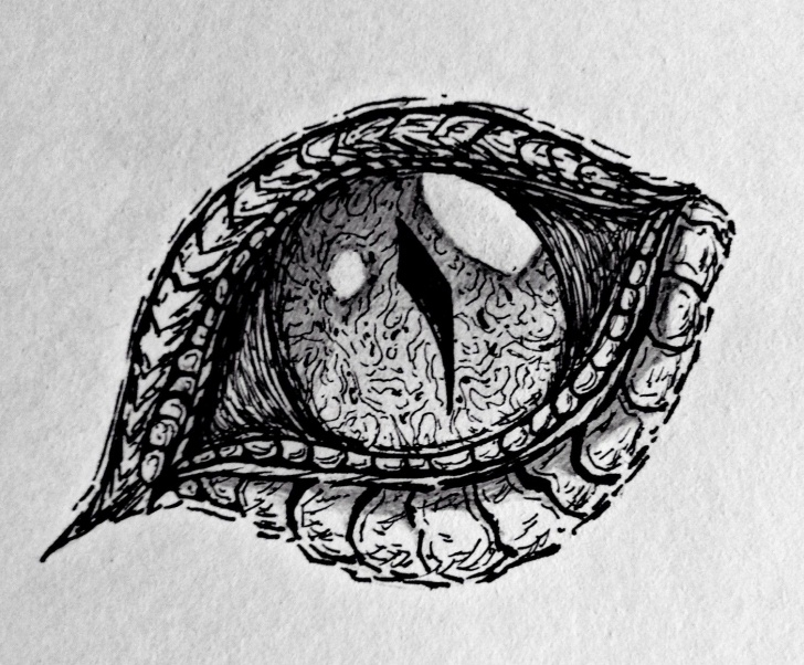 Marvelous Cool Drawings With Pencil Lessons Polar Pen In 2019 | Drawing | Dragon Eye Drawing, Pencil Drawings Picture