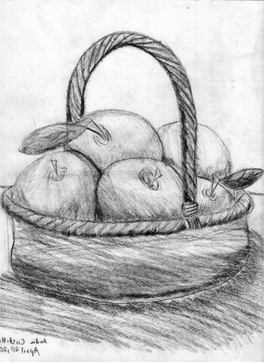 Marvelous Fruit Basket Pencil Shading Free Pencil Sketch Of Fruits At Paintingvalley | Explore Collection Pics