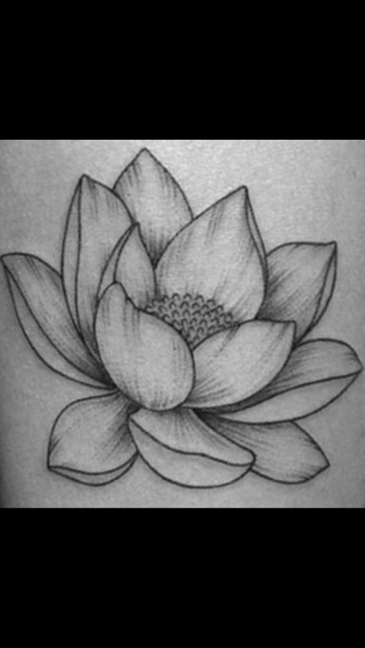 Marvelous Lotus Pencil Drawing Courses Lotus Flower Drawing | Beautiful In 2019 | Realistic Flower Drawing Pic