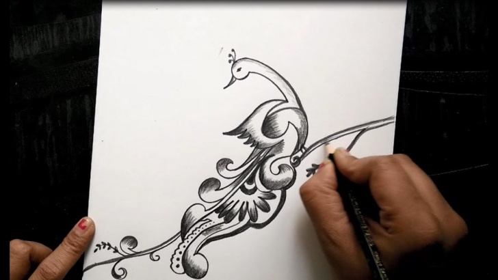 Marvelous Pencil Art Peacock Tutorial Free Hand Peacock Design With Pencil For Beginners Photos