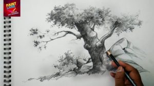 Marvelous Pencil Drawing Painting Easy Basic Sketch And Shade A Tree With Pencil | Pencil Art Picture