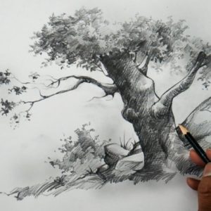 Pencil Drawing Painting